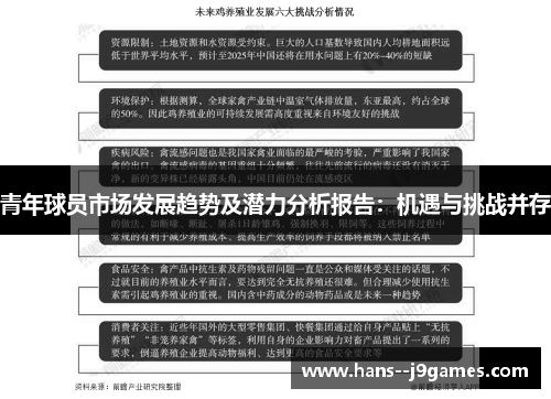 青年球员市场发展趋势及潜力分析报告:机遇与挑战并存 青年球员市场发展趋势及潜力分析报告:机遇与挑战并存